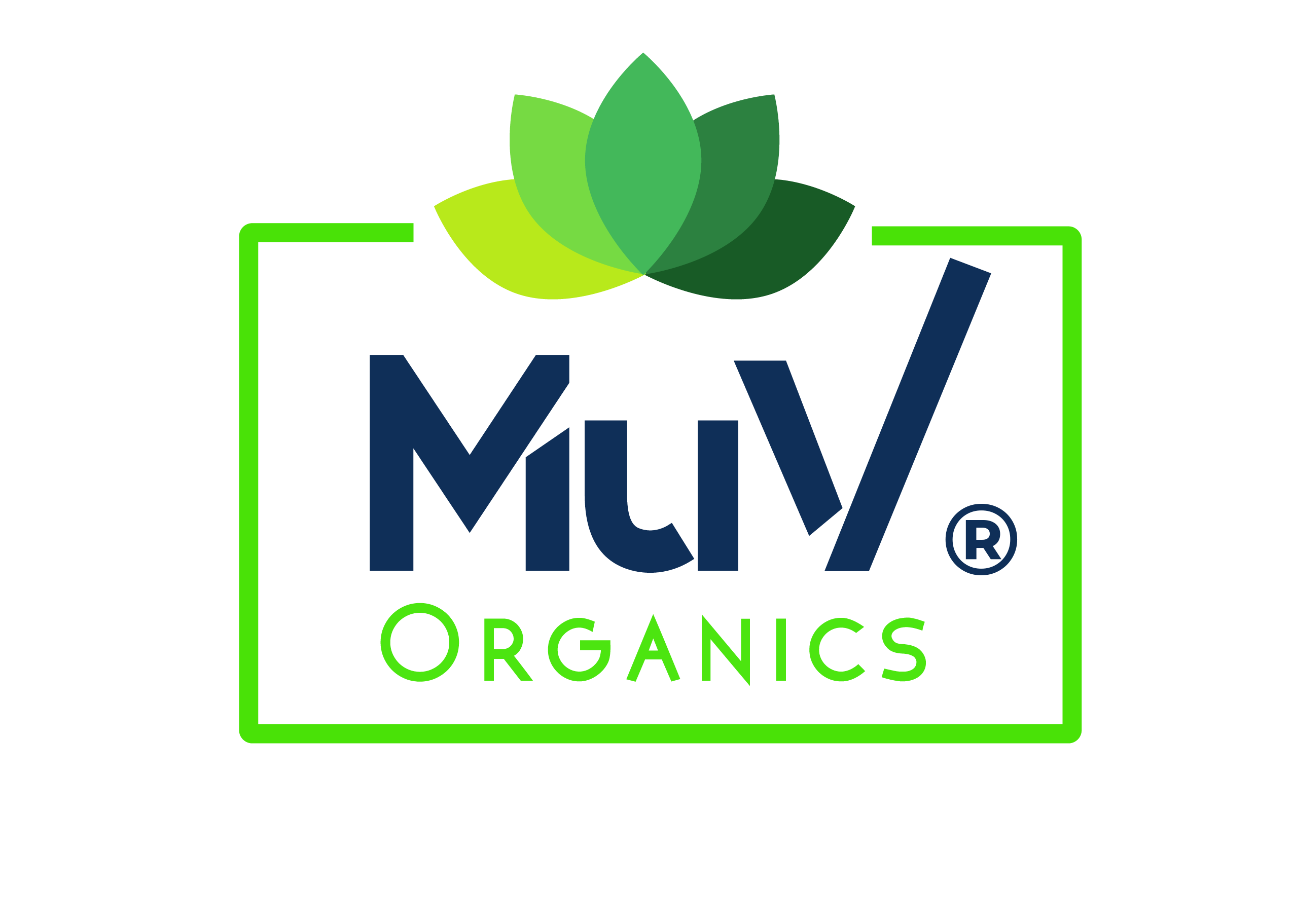 MuV International